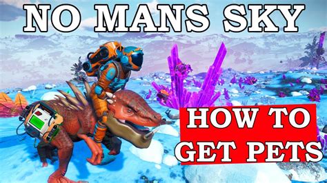 nms how to tame flying creatures